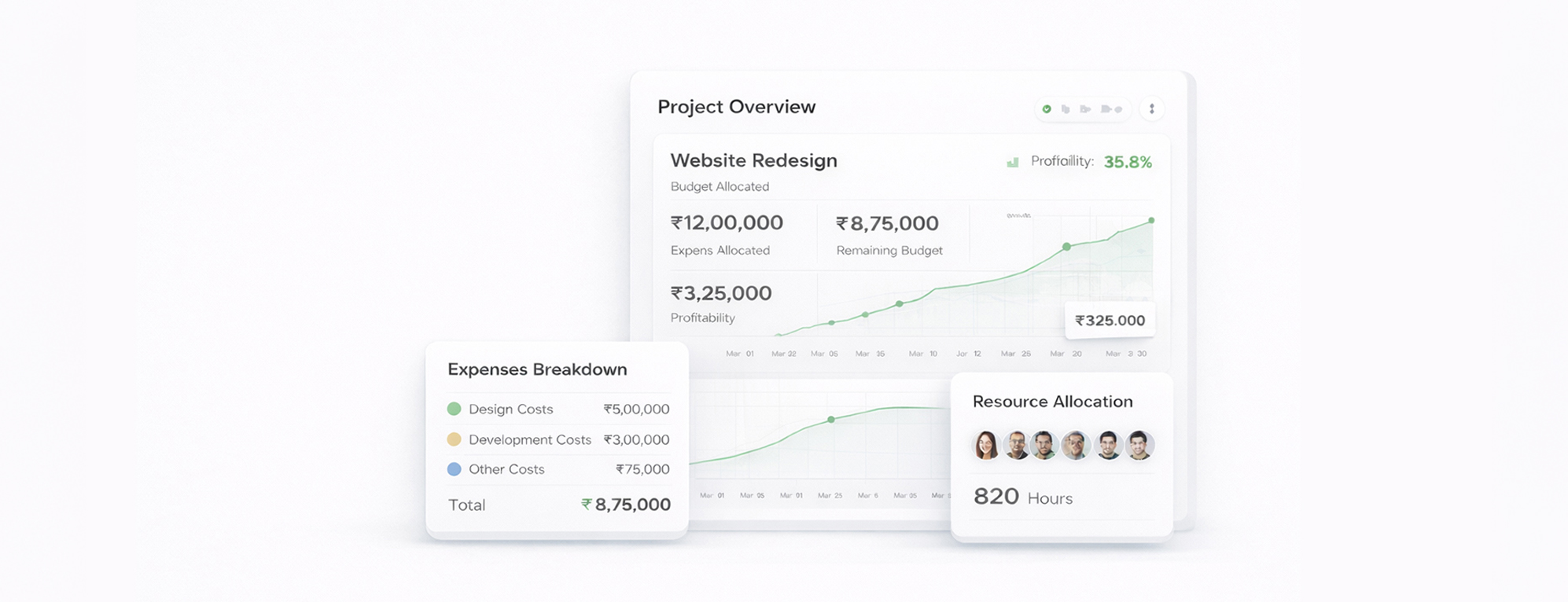 Project Allocation Accoxi